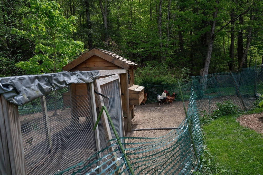 425 Dingle Road Worthington, MA 01098 - Photo 29 of 32 a backyard of a house with lots of green space