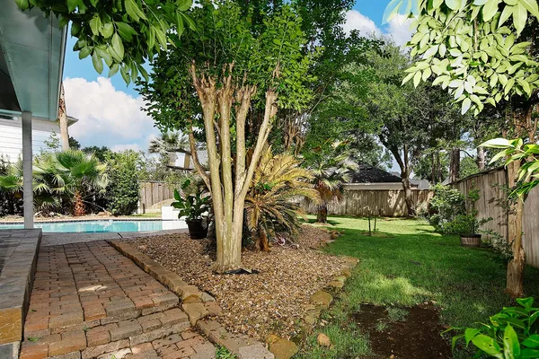 a view of a yard with plants and a trees