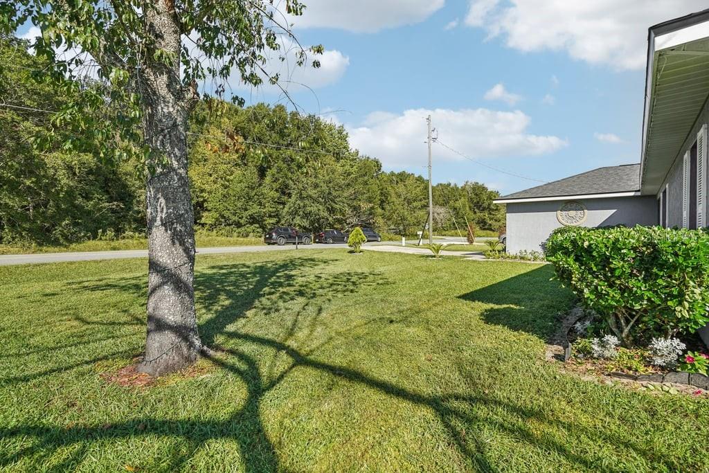 133 Walnut Road Ocala, FL 34480 - Photo 3 of 31 a view of a garden