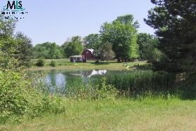 2915 Burr Road Applegate, MI 48401 - Photo 4 of 7 820842-3.JPG