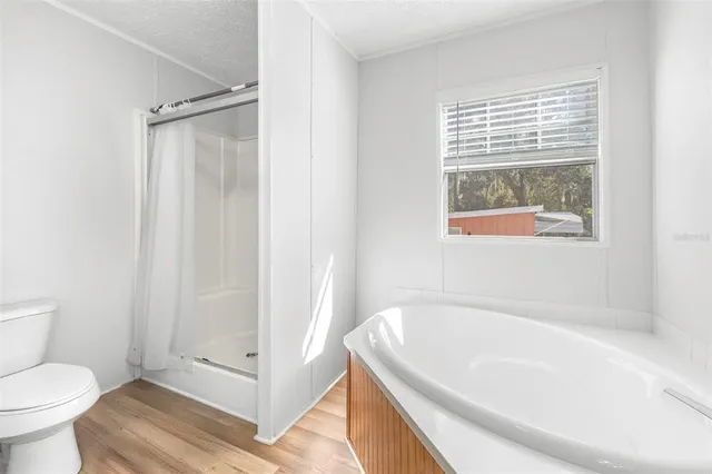 a bathroom with a bathtub and a toilet