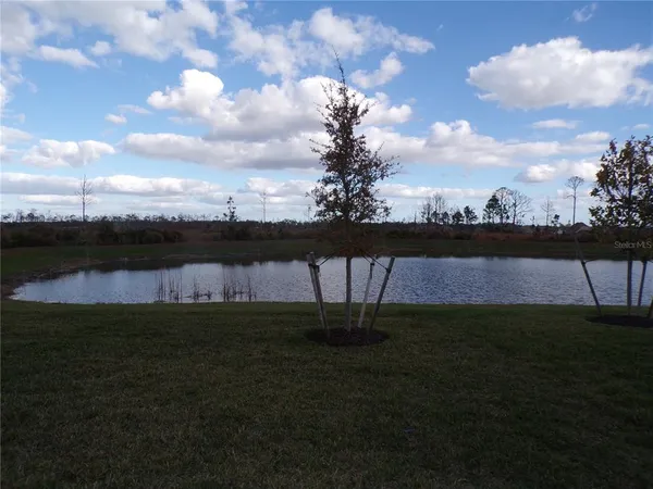 a view of a yard with a lake view