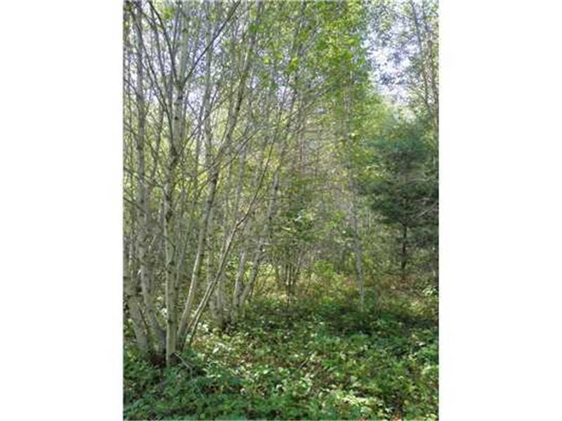 Lot3-3.3 Nicolin Road Ellsworth, ME 04605 - Photo 6 of 12 Land/Lot.