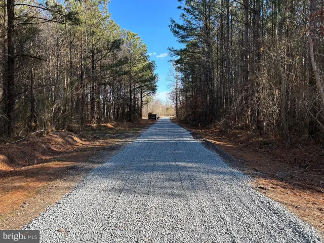 a view of yard with trees