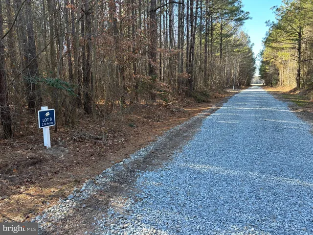 a view of a outdoor space with trees