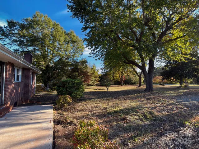 a view of a yard with plants and trees