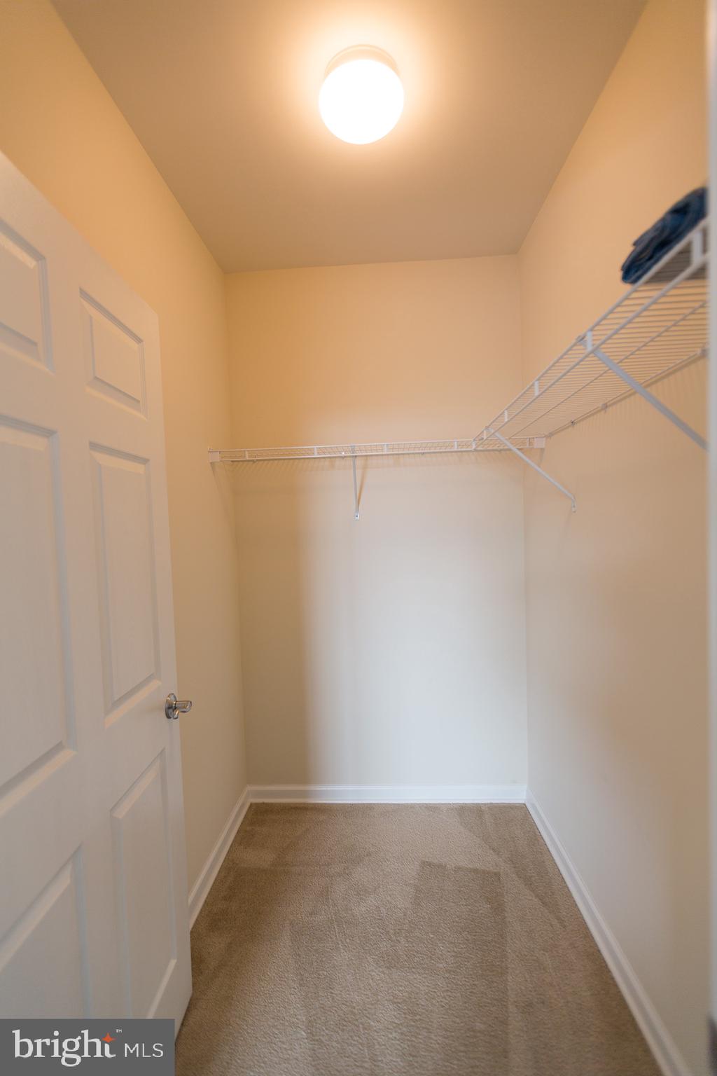 1133 Halifax Place Hamilton, NJ 08619 - Photo 14 of 20 Walking Closet