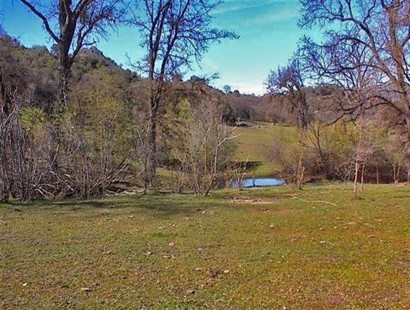 46505 Sand Creek Road Squaw Valley, CA 93675 - Photo 17 of 33