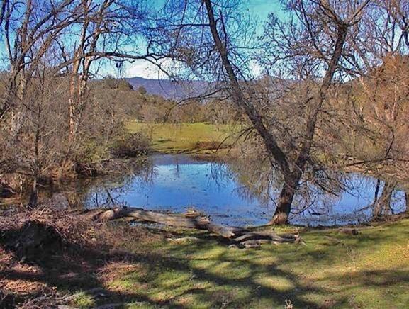 46505 Sand Creek Road Squaw Valley, CA 93675 - Photo 20 of 33
