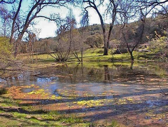 46505 Sand Creek Road Squaw Valley, CA 93675 - Photo 23 of 33