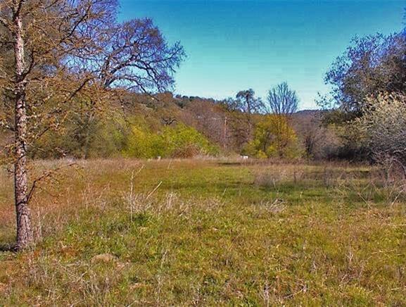 46505 Sand Creek Road Squaw Valley, CA 93675 - Photo 33 of 33