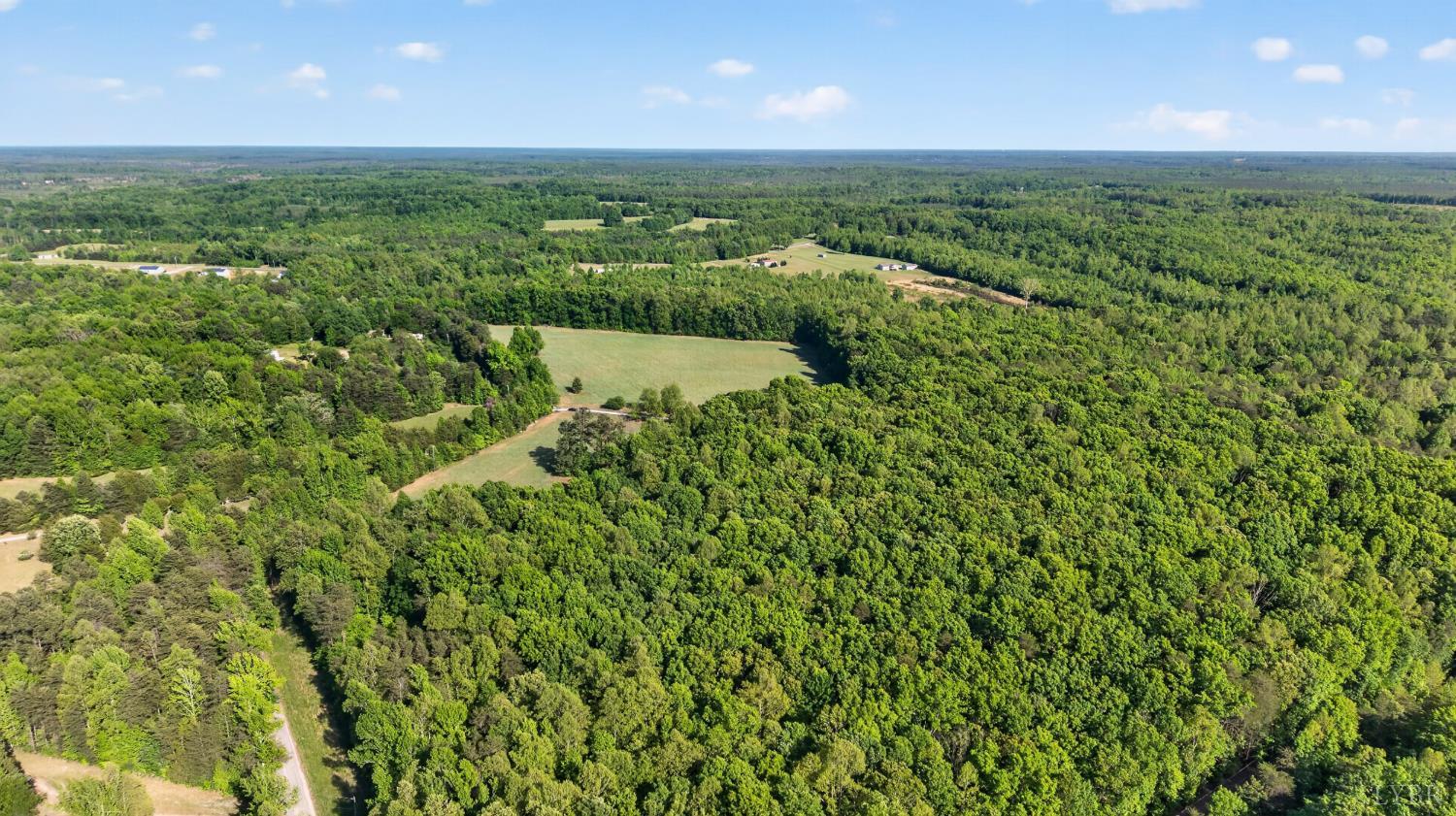 644 Campbell Crossing Road Meherrin, VA 23954 - Photo 41 of 48