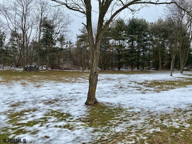 59 Fox Road Bridgeton, NJ 08302 - Photo 13 of 17