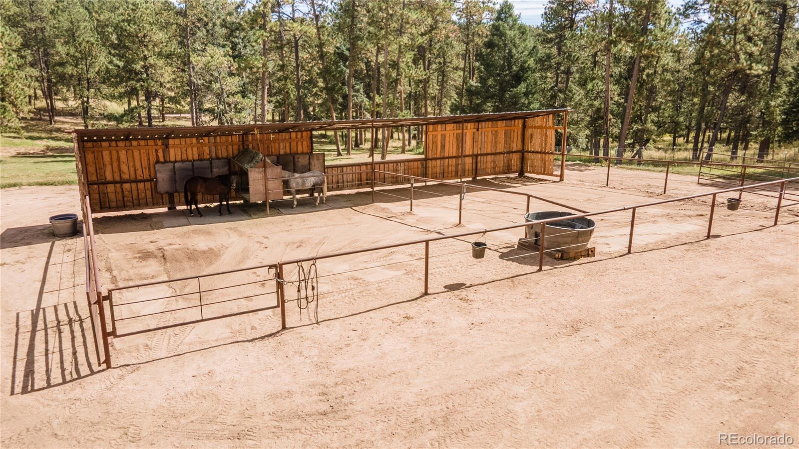 12322 South Wamblee Valley Road Conifer, CO 80433 - Photo 7 of 37 a view of a terrace