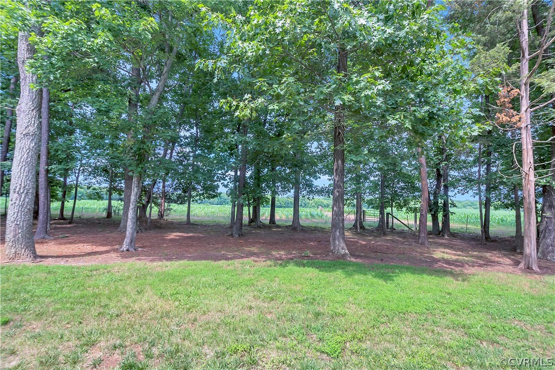 10705 Chatham Ridge Way Spotsylvania, VA 22551 - Photo 31 of 40 a backyard of a house with lots of green space