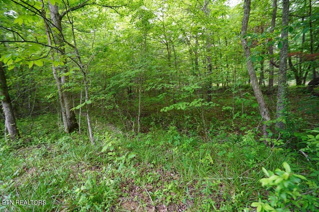 0 Greenfields Road Spencer, TN 38585 - Photo 25 of 26 236818_3