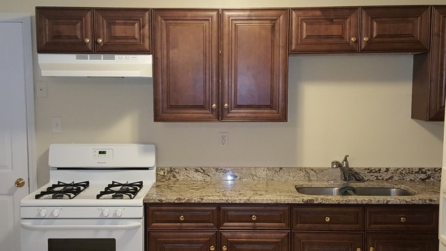 125 West Briarcliff Road Bolingbrook, IL 60440 - Photo 8 of 19 a kitchen with granite countertop a sink and cabinets with wooden floor