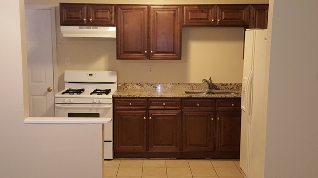 125 West Briarcliff Road Bolingbrook, IL 60440 - Photo 9 of 19 a kitchen with a sink a stove and cabinets