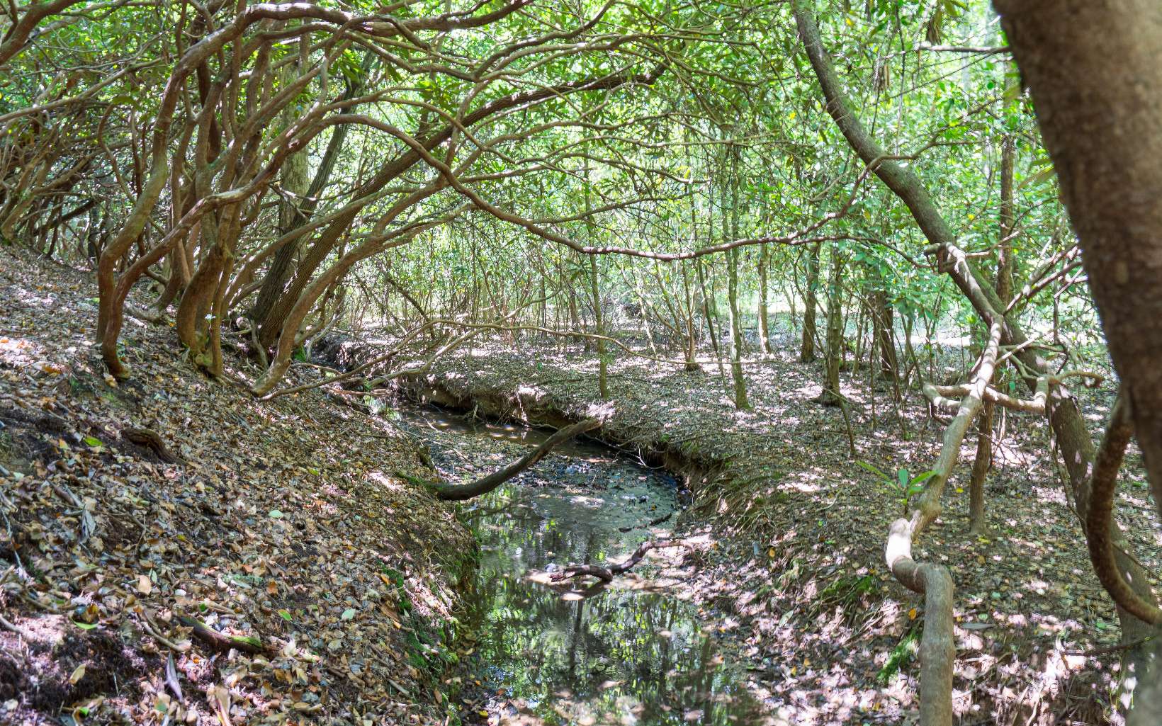 68 Arthur Way Murphy, NC 28906 - Photo 32 of 38 Additional View