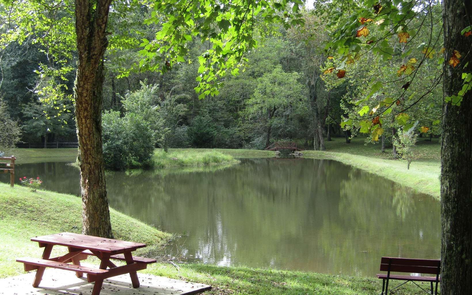 68 Arthur Way Murphy, NC 28906 - Photo 35 of 38 Additional View