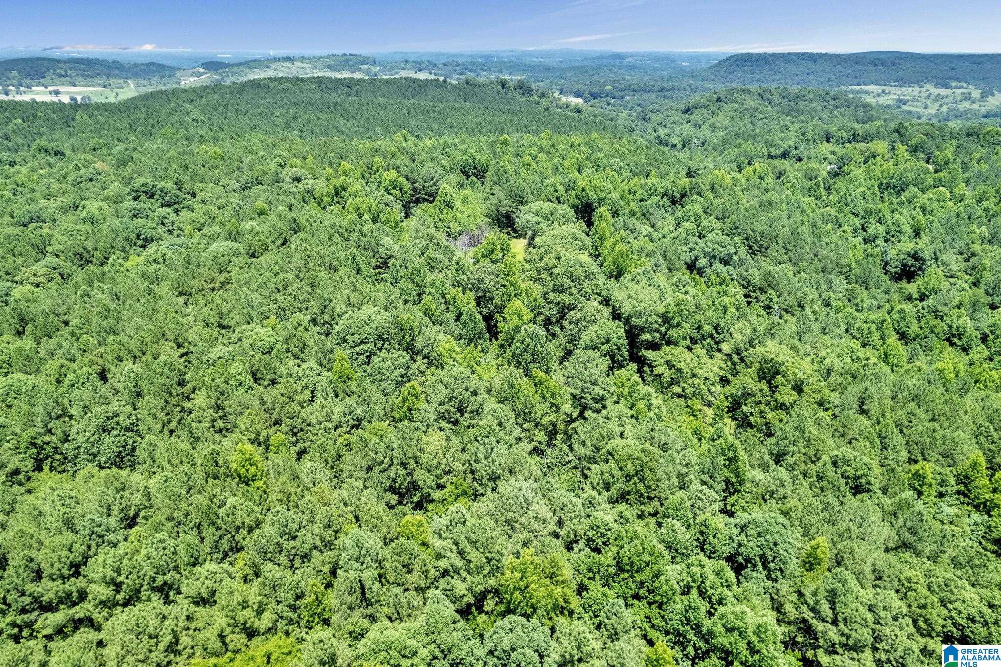 572 Dunn Hill Road Parrish, AL 35580 - Photo 25 of 25