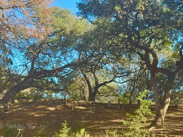 $129,000 | 140 Spring Branch Drive, Leakey, TX 78873