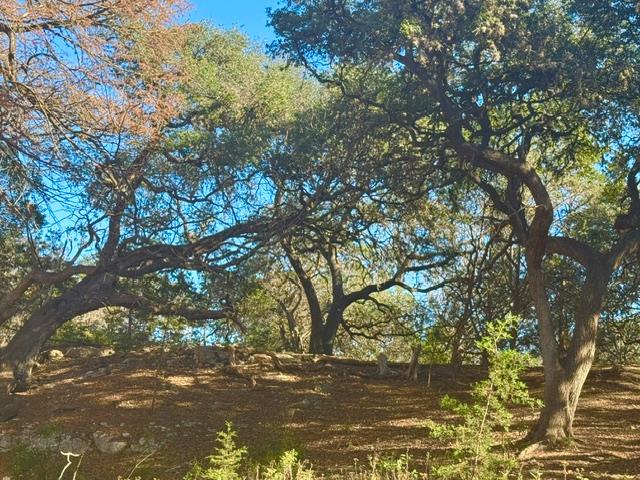 140 Spring Branch Drive Leakey, TX 78873 - Photo 1 of 23
