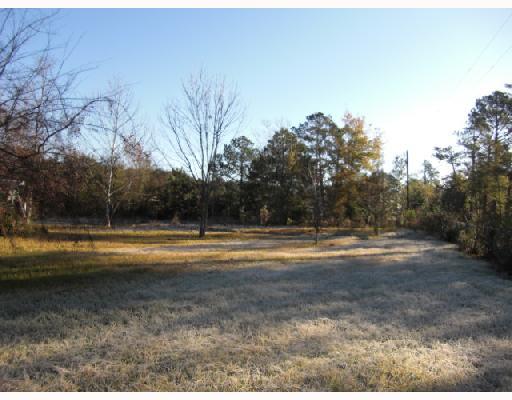 11677 Tantela Ranch Road Folsom, LA 70437 - Photo 8 of 12