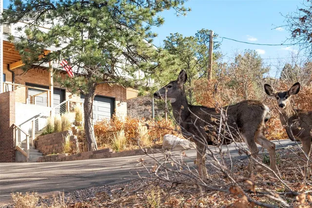 $1,650,000 | 5468 Lariat Drive, Castle Rock, CO 80108