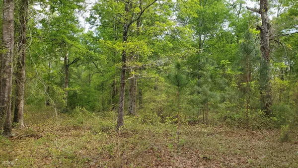 $70,000 | 0 Meeks Road, Rentz, GA 31075