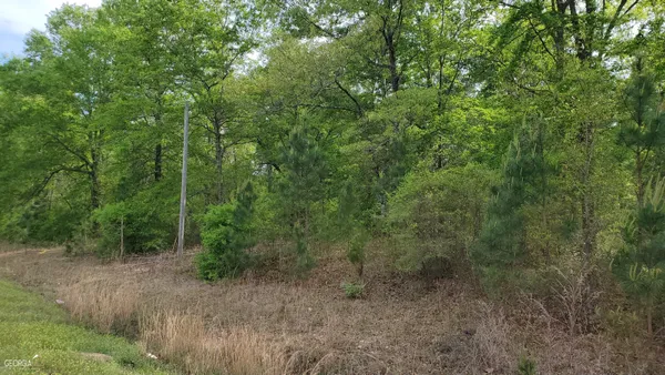 $70,000 | 0 Meeks Road, Rentz, GA 31075