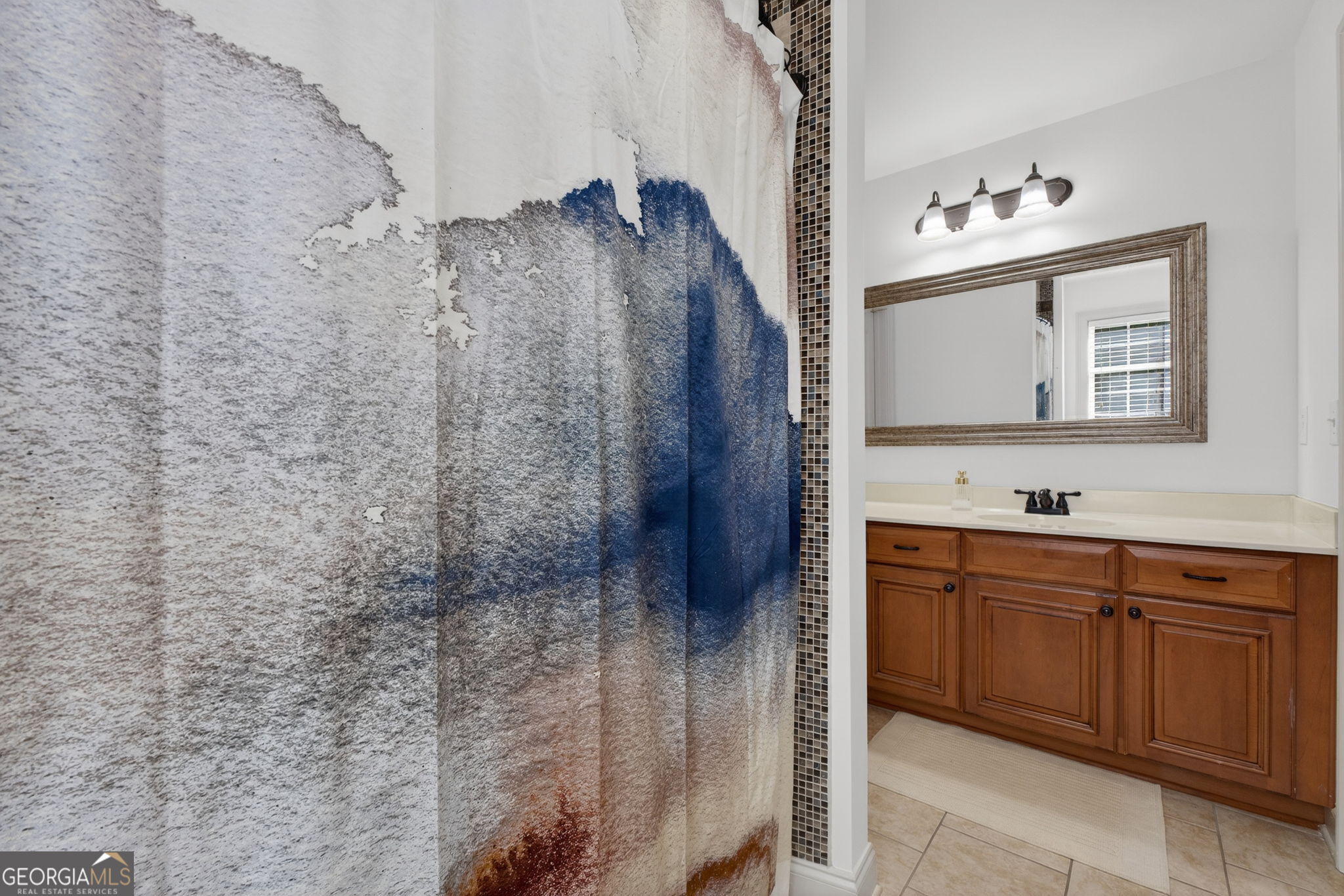 32 River Rapids Drive Forsyth, GA 31029 - Photo 26 of 32 a bathroom with a sink and a mirror
