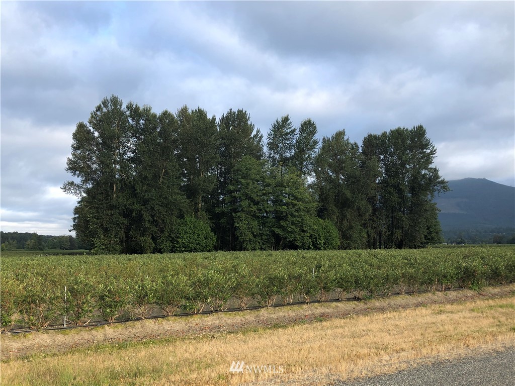 32914 Cockerham Island Road Sedro-Woolley, WA 98284 - Photo 5 of 7 Gallery Image 5