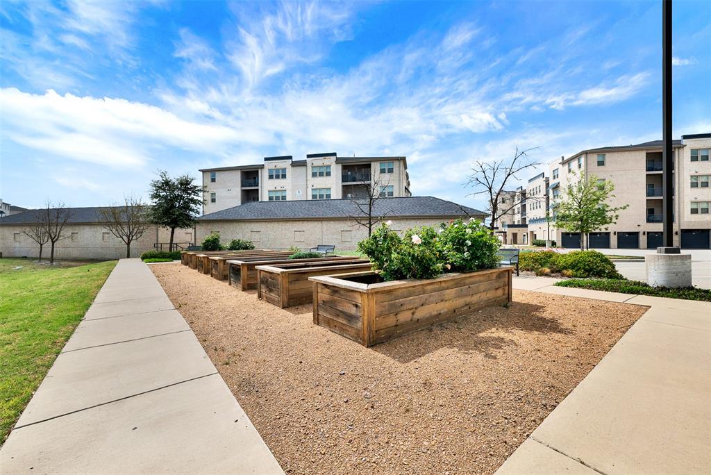 651 Watters Road, Unit 7406 Allen, TX 75013 - Photo 15 of 36 Raised gardens with flower, vegetables, and herbs