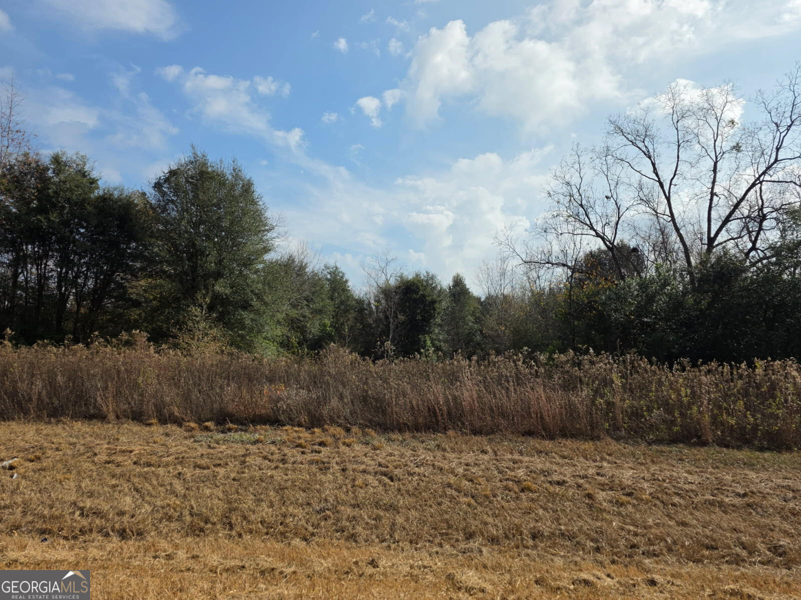 a view of an outdoor space