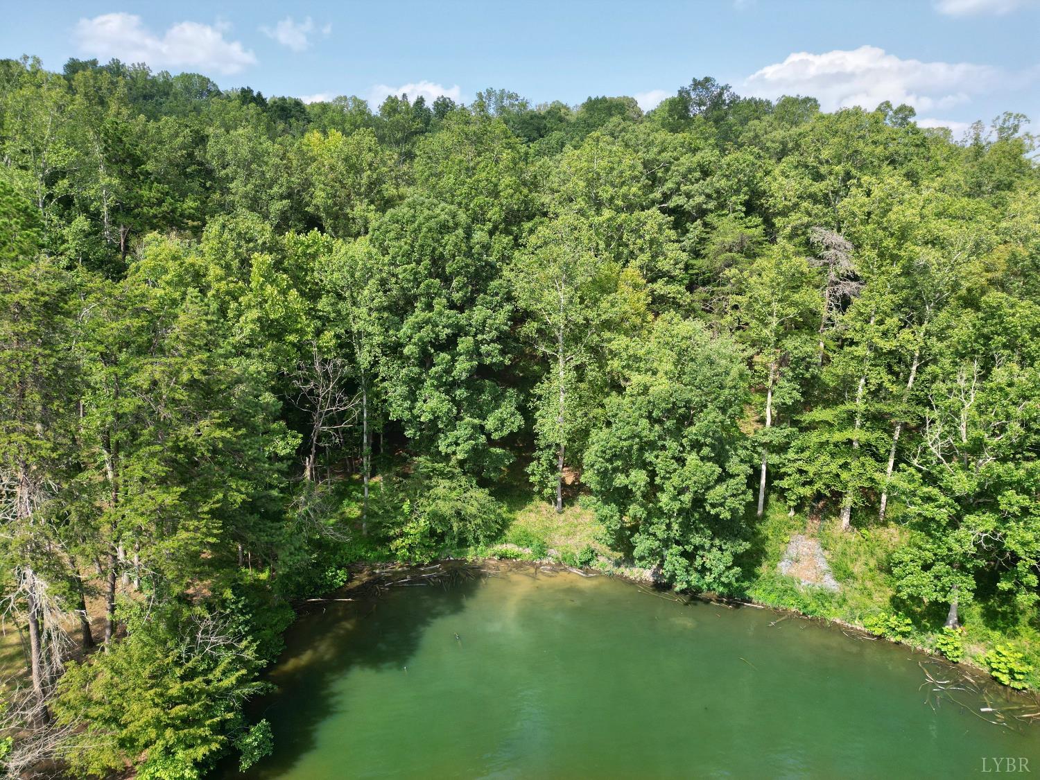 a view of a lake with a lush green forest