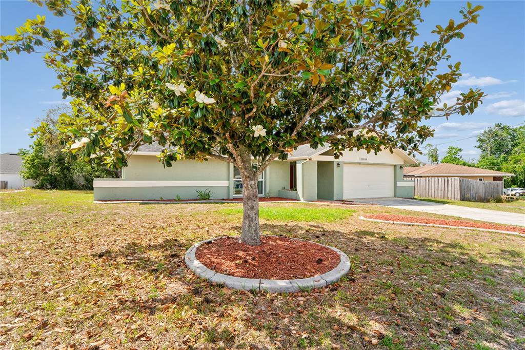 10100 Vancouver Road Spring Hill, FL 34608 - Photo 6 of 66