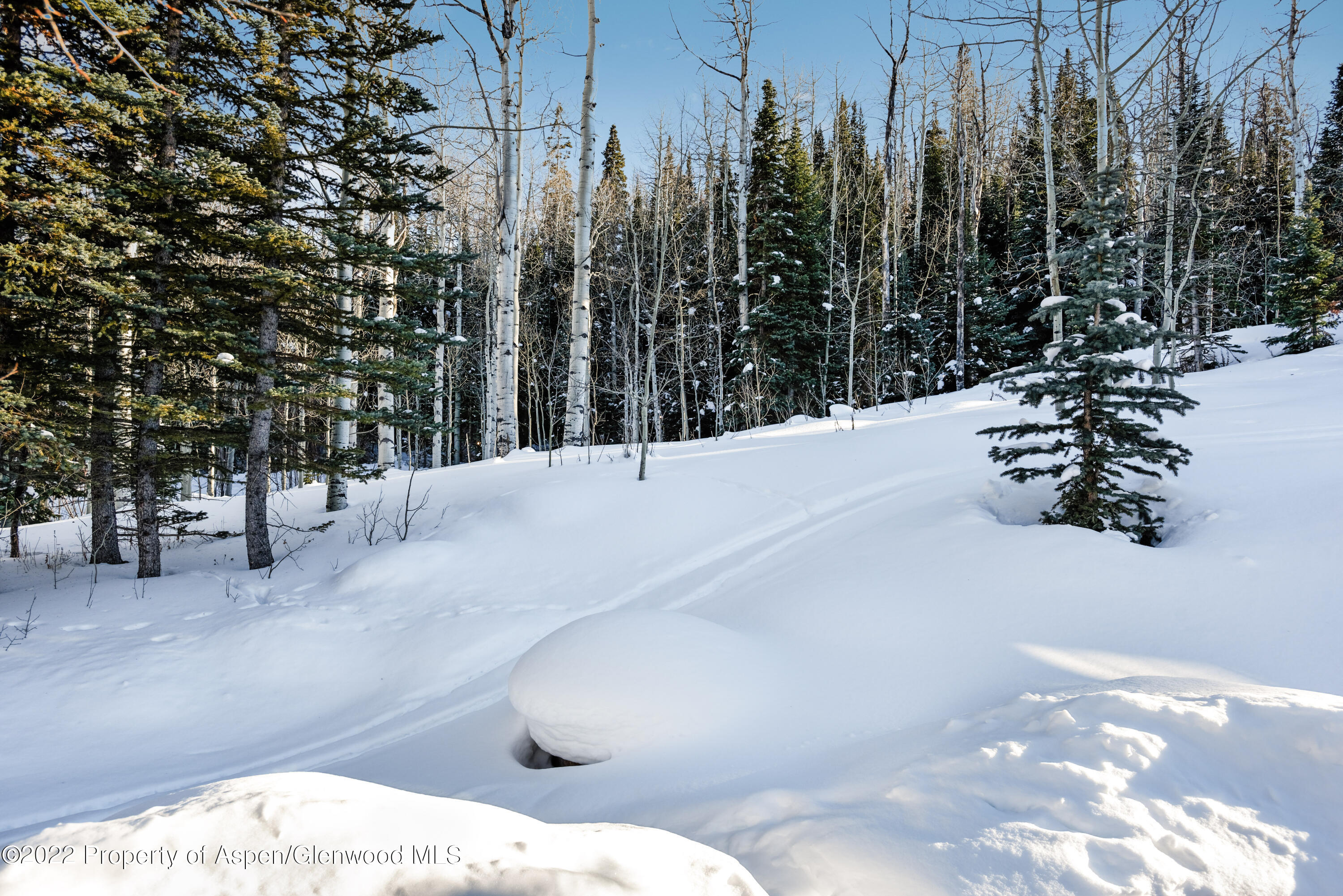 1400 Wood Road Snowmass Village, CO 81615 - Photo 34 of 36 a view of a yard with trees