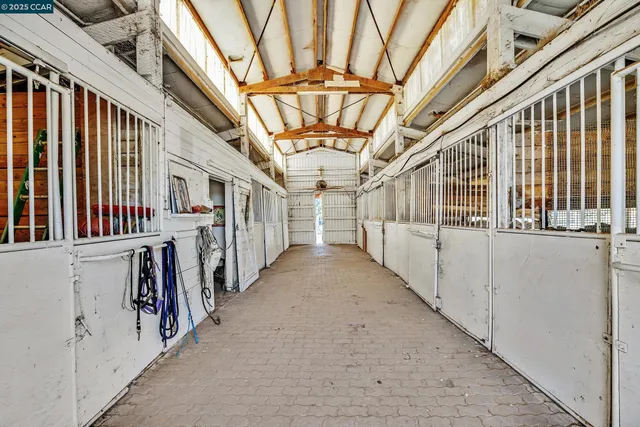 a view of a park with tree s