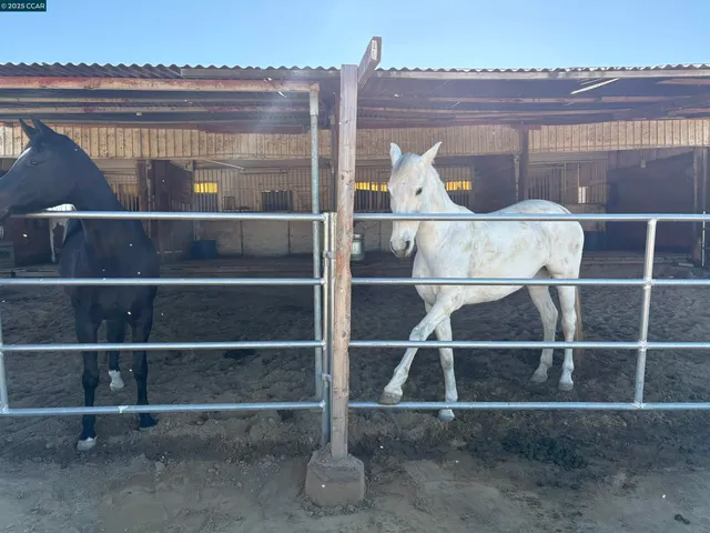 a view of a dry yard with wooden fence