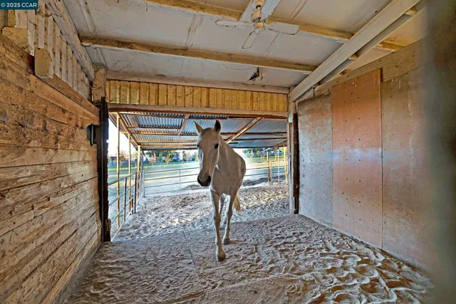 a view of a park with palm trees