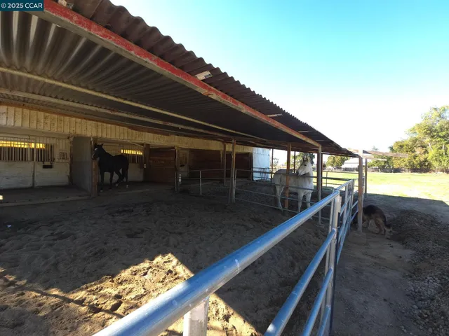 a view of a tree with a yard