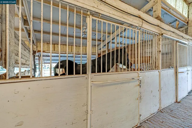 a backyard of a house with a yard