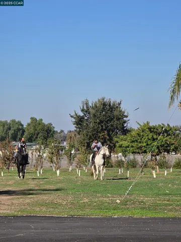 a view of dirt field with large trees