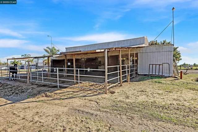 a view of road with palm trees