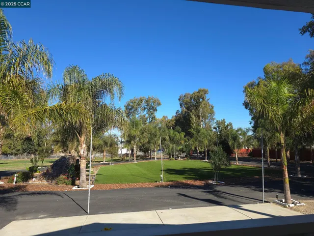a view of a lake with palm trees