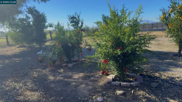 $1,275,000 | 4169 Knightsen Avenue, Oakley, CA 94561