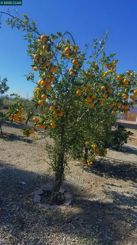 $1,275,000 | 4169 Knightsen Avenue, Oakley, CA 94561