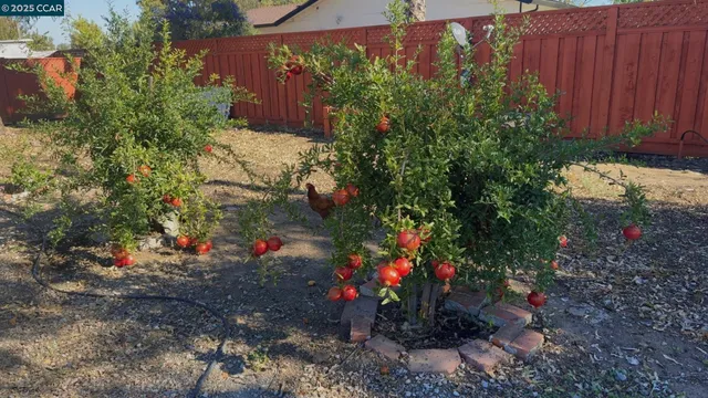 $1,275,000 | 4169 Knightsen Avenue, Oakley, CA 94561