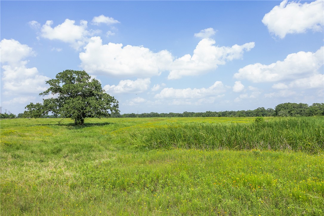 0 Hopes Creek Road College Station, TX 77845 - Photo 11 of 24
